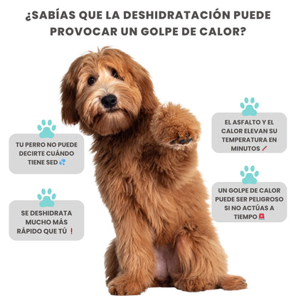 Botella AquaPaw™ para perro
